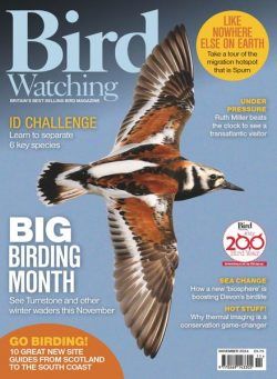 Bird Watching UK – November 2024