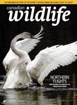 Canadian Wildlife – November-December 2024