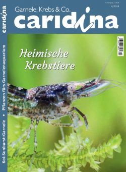 Caridina – November 2024