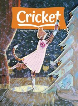 Cricket – November-December 2024