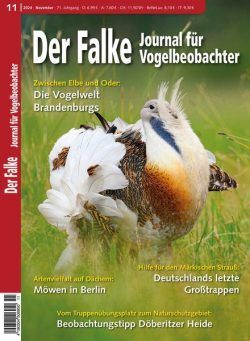 Der Falke Journal fur Vogelbeobachter – November 2024