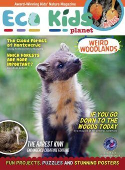 Eco Kids Planet Magazine – November 2024