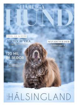 Harliga Hund – November 2024