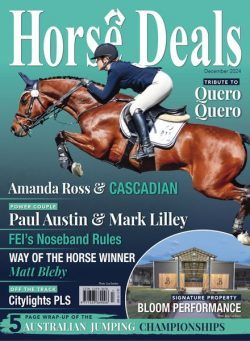 Horse Deals – December 2024