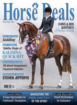 Horse Deals – November 2024