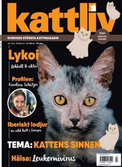 Kattliv – Oktober 2024