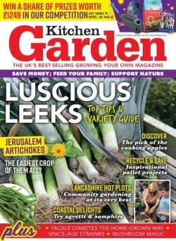 Kitchen Garden – November 2024