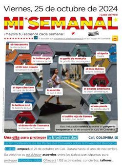 Mi Semanal – 25 Octubre 2024