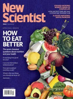 New Scientist International Edition – 2 November 2024