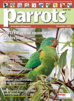 Parrots – November 2024