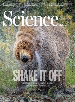 Science – 8 November 2024