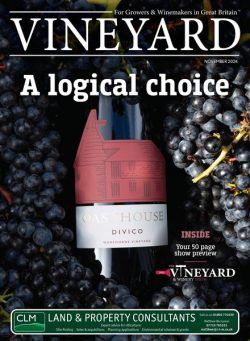 Vineyard – November 2024