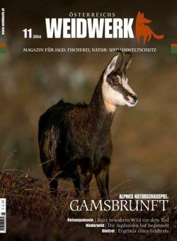 Weidwerk – November 2024