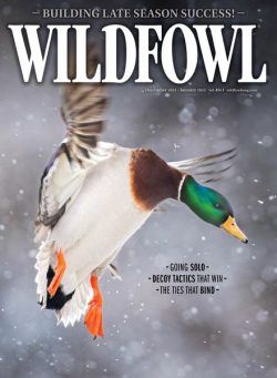 Wildfowl – December 2024 – January 2025