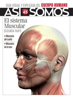 Asi Somos El cuerpo humano – Diciembre 2024