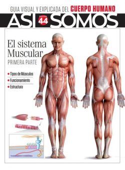 Asi Somos El cuerpo humano – Noviembre 2024