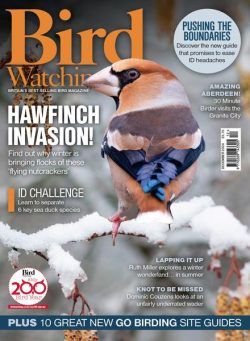 Bird Watching UK – December 2024