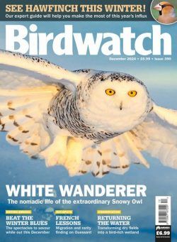 Birdwatch UK – December 2024