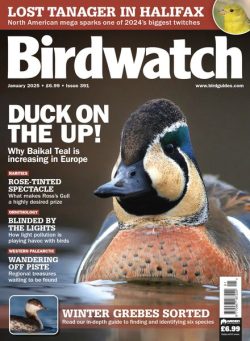 Birdwatch UK – January 2025