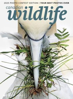 Canadian Wildlife – January-February 2025