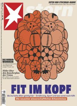 Der Stern – 28 November 2024