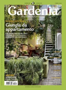 Gardenia – Gennaio 2025