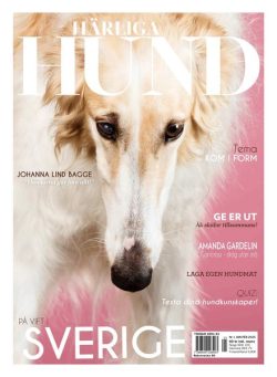 Harliga Hund – December 2024