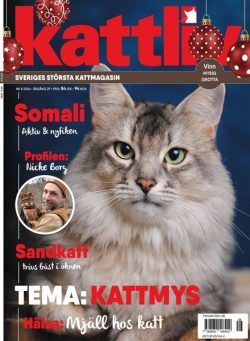 Kattliv – November 2024