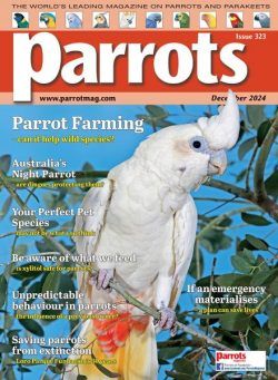 Parrots – December 2024