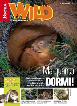 Focus Wild – Febbraio 2025