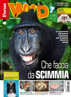 Focus Wild – Gennaio 2025