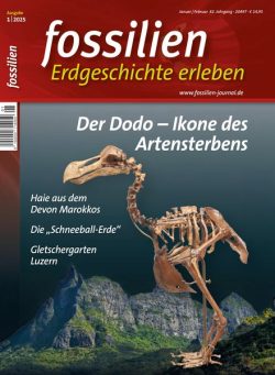 Fossilien – Januar 2025