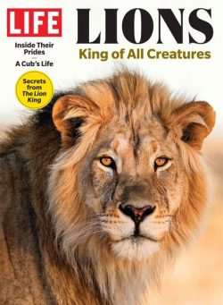 LIFE – Lions King Of All Creatures 2025