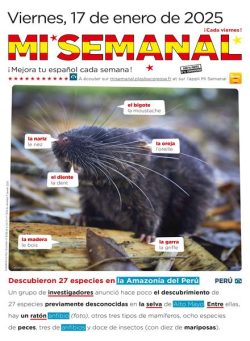 Mi Semanal – 17 Enero 2025