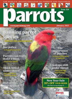 Parrots – January 2025