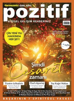 Pozitif – Aralik 2024