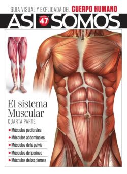 Asi Somos El cuerpo humano – Febrero 2025