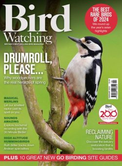 Bird Watching UK – February 2025