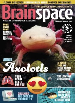 Brainspace – February-March 2025