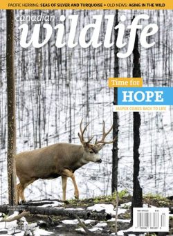 Canadian Wildlife – March-April 2025