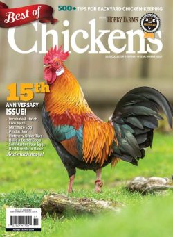 Chickens – Best of Chickens – January 2025