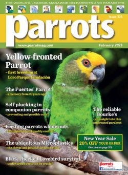 Parrots – February 2025