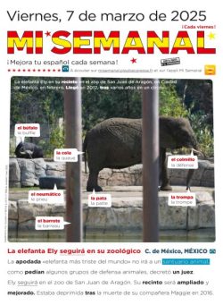 Mi Semanal – 7 Marzo 2025