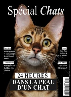 Special Chats – Avril-Mai-Juin 2025